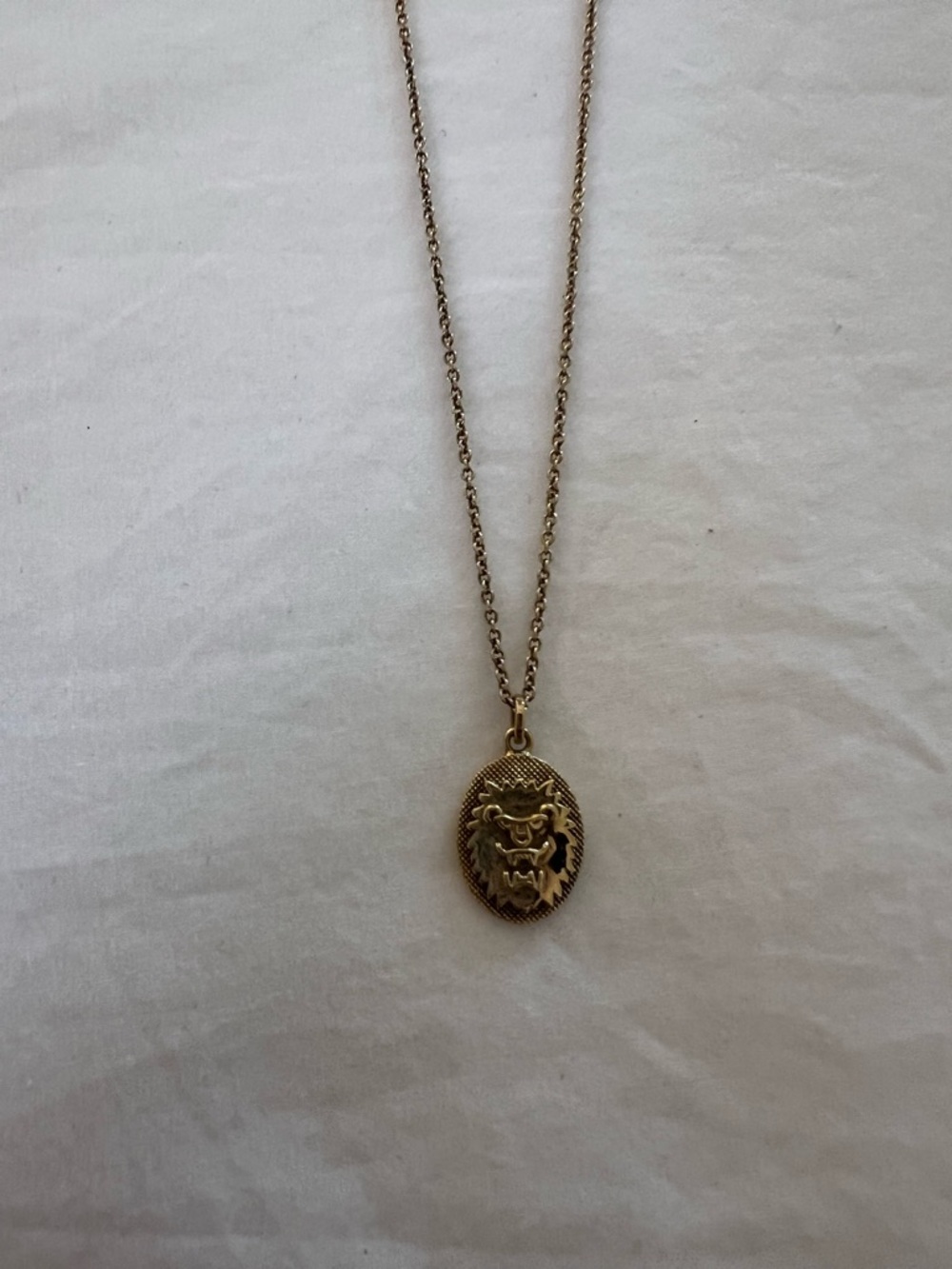 Mejuri Gold Lion Medallion Necklace
